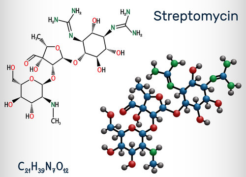 Streptomycin, C21H39N7O12 molecule. It is an aminoglycoside antibiotic. Structural chemical formula and molecule model