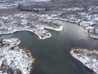 un lago y unas montañas con pinos nevadas de fondo © PintoArt