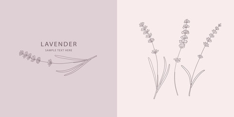 Card with Lavender. Vector sketches hand drawn illustration © lenaalyonushka