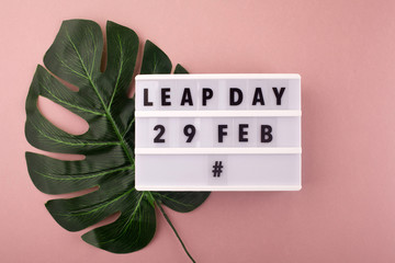 White block calendar present date 29 and month February and plant on pink background. Leap day