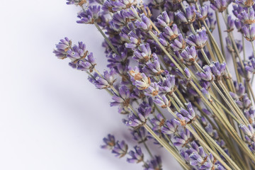  dried lavender on a white background