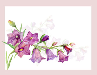Watercolor bells. Pattern. Image on white and color background.