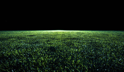 Low angle view across a soccer or sports field