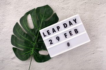 White block calendar present date 29 and month February and plant on rustic background. Leap day