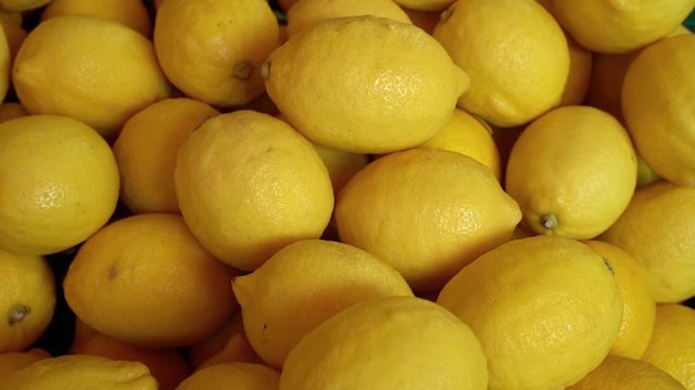 Fresh lemons as background. Lemons harvest for food textures