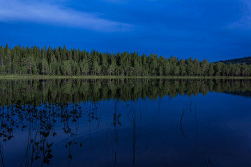 Calm lake in dark blue night surrounded by trees with reflection on the water surface. Abbortjernet lake in Lillehammer.