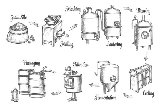 Beer brewery production infographics, sketch icons