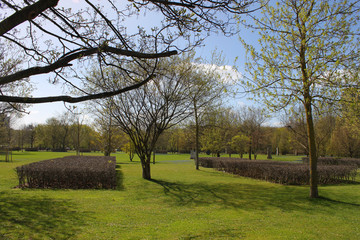 Obraz premium Parque