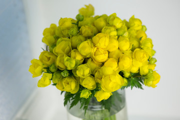 A bouquet of yellow globeflowers in a glass vase by the window.