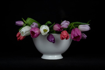 Obraz na płótnie Canvas natural garden flowers tulips for event
