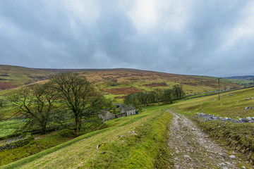 Naklejka premium A scenic view of a mountain rocky path with grassy slope, farm building and majestic naked tree under a grey sky