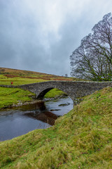 Fototapeta na wymiar A scenic view of a stone bridge over a river with grassy slope under a gey sky