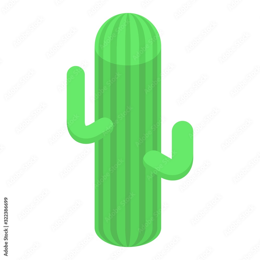 Poster desert cactus icon. isometric of desert cactus vector icon for web design isolated on white backgrou