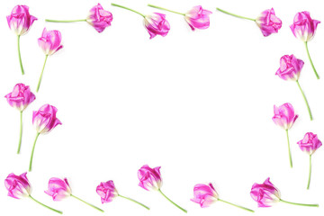 Obraz na płótnie Canvas beautiful flower frame. pink tulips on a white background, copy space, flat lay