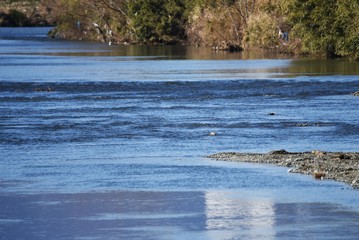 The beauty of a clean river.