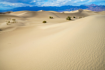 mesquite flat sand dunes in death valley, california, usa