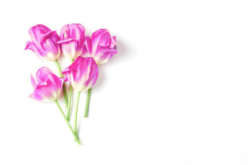 beautiful bouquet of pink tulips on a white background. flat lay, copy space