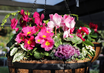 spring flower arrangement