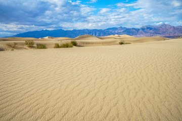 mesquite flat sand dunes in death valley, california, usa