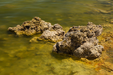 Mono Lake, rock formations and vegetation, California, USA.