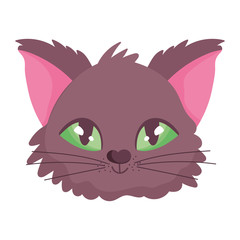 cute cat face cartoon character pets