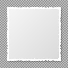 Piece of torn, white realistic square paper strip with soft shadow is on squared transparent background. Your text here. Torn paper. Vector