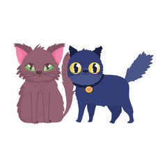 cat and black cat with collar cartoon feline pets