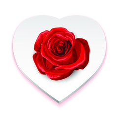 Fototapeta na wymiar St. Valentine day decorative object. Element for greeting card design.