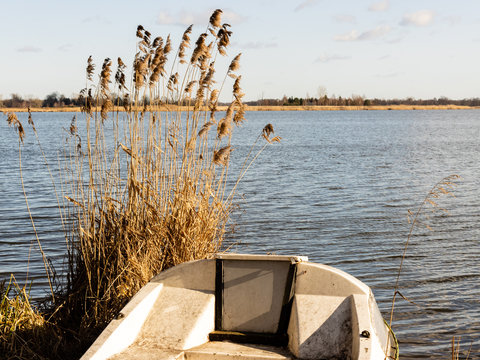 Back of white boat at the bank of Narew river in Serock. Group of dry reeds next to the boat. Sunny weather. Poland, Europe.