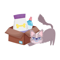 disheveled cat with food package and veterinary bottle pets
