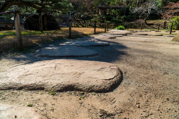 大きな庭石