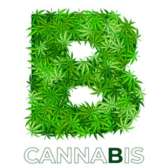 Cannabis Hemp Leaf Logo