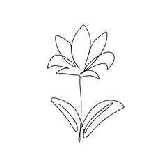 Abstract one continuous line art with botanical illustration with flower. Simple digital floral illustration. Vector graphic design download