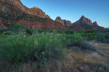 the watchman from parus trail in zion national park, usa