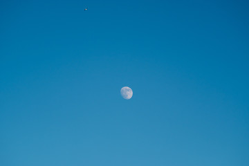 White moon against the blue sky. Full moon in the afternoon. Satellite of the planet earth. Blue skies on a frosty winter day.