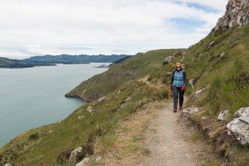 Fototapeta premium Senior, female hiker walking along the Breeze Bay section of the Awaroa/Godley Head Loop Track. Godley Head, Canterbury, New Zealand.