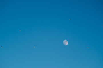 White moon against the blue sky. Full moon in the afternoon. Satellite of the planet earth. Blue skies on a frosty winter day.