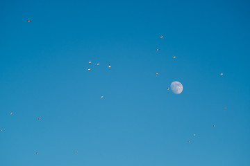 White moon against the blue sky. Full moon in the afternoon. Satellite of the planet earth. Blue skies on a frosty winter day.