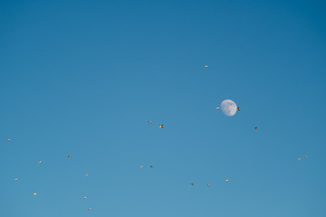 White moon against the blue sky. Full moon in the afternoon. Satellite of the planet earth. Blue skies on a frosty winter day.