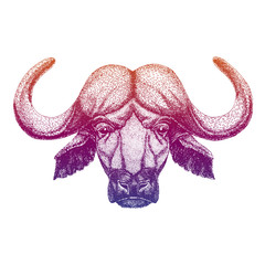 Buffalo, bull, ox. Hand drawn illustration for tattoo, emblem, badge, logo, patch, t-shirt
