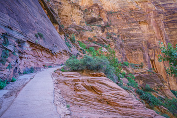 hiking west rim trail in zion national park, usa