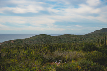 Obraz premium Beautiful Landscape Photograph View, Los Cabos Mexico