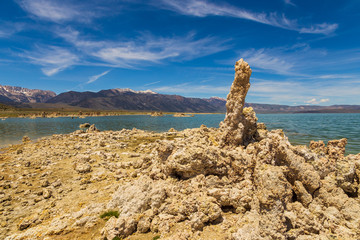 Mono Lake, rock formations and vegetation, California, USA.