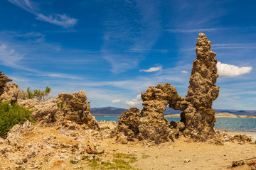 Mono Lake, rock formations and vegetation, California, USA.