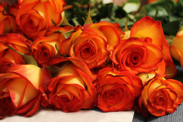 Bouquet of orange roses on the table