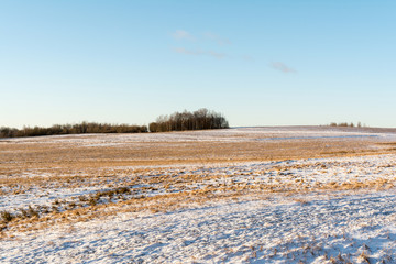 View of a hilly horizon with a snow-covered field with orange dry grass and shrubs. Clear blue orange sky in early spring in evening