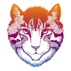 Obraz premium Cute kitten with big ears isolated on white background. Cat portait. Cool vector design illustration.