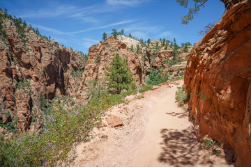 hiking west rim trail in zion national park, usa
