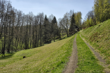 Fototapeta premium Road through the Krkonose Mountains