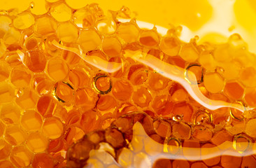 honey texture close up in the detail - 322399633